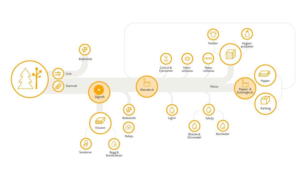 Bioinnovationsträdet - grått-orange.jpg